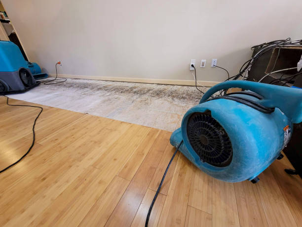 Professional Flood Damage Cleanup technician working in Redfield, AR